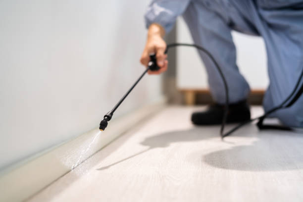 Licensed Mosquito Control service in Gregory, TX - Show Me Pest Control