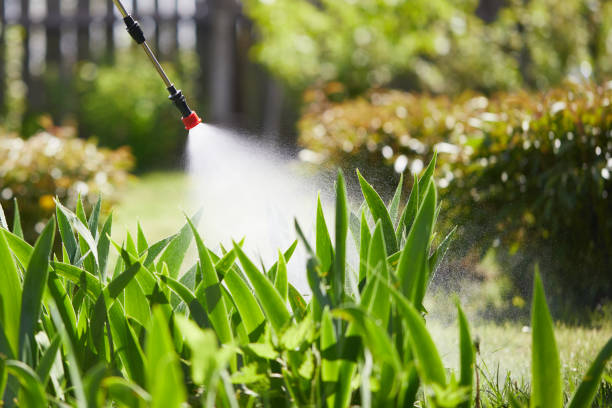24/7 Emergency Mosquito Control experts in Gregory, TX