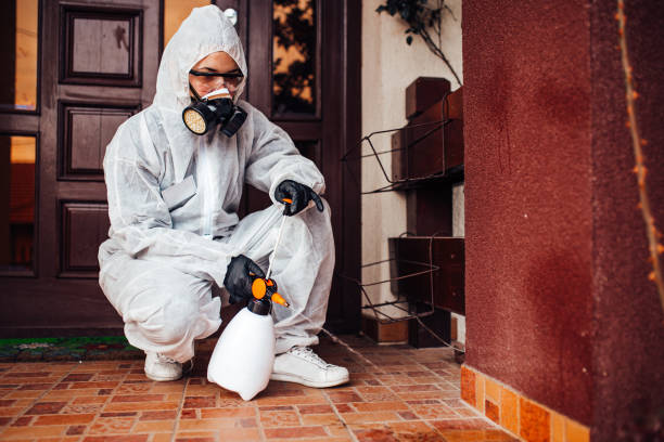 Reliable Mosquito Control contractor in Gregory, TX by Show Me Pest Control