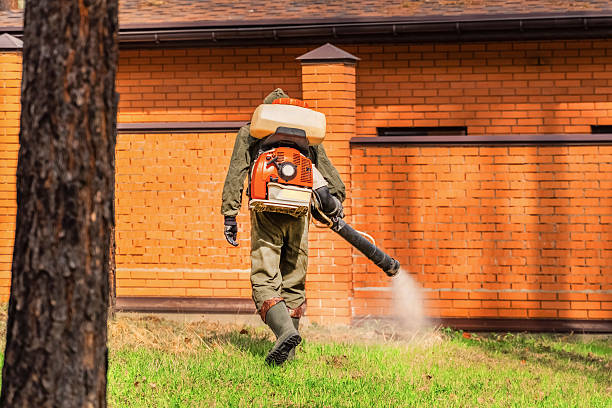 Top rated local Mosquito Control specialists in Gregory, TX